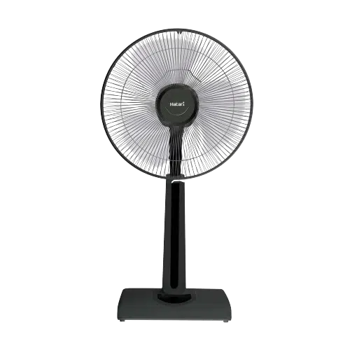 fan